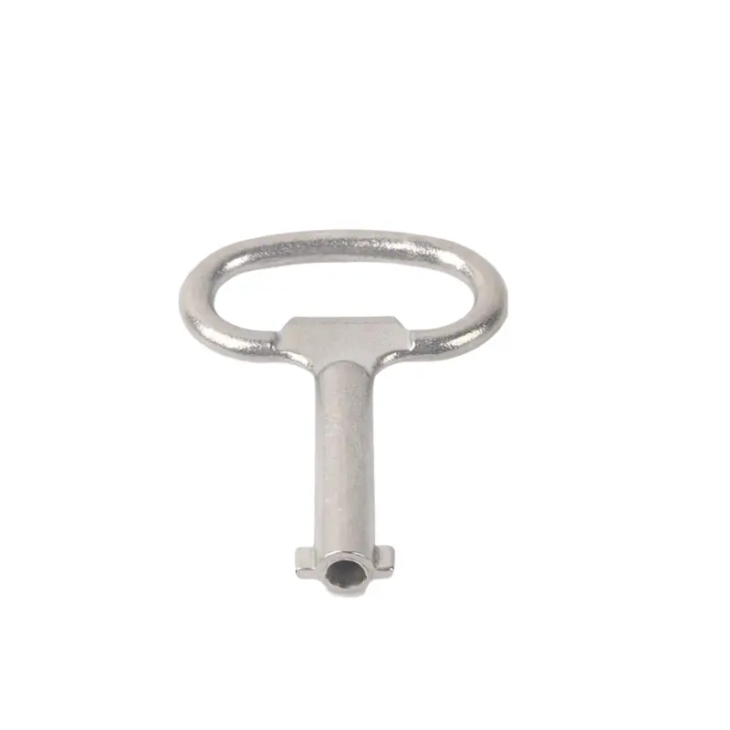 Roestvrijstalen dubbele bit sleutel